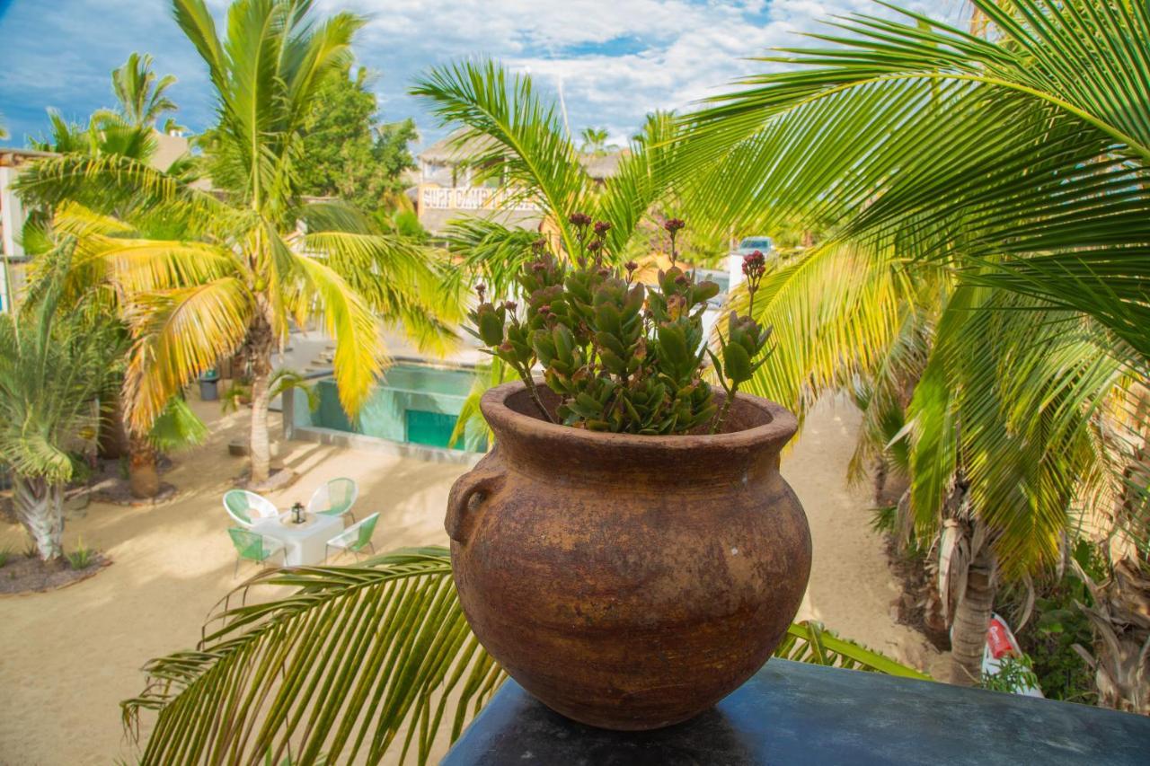 Pure Baja Private Suites-Upscale Property With Infinity Pool And Lush Gardens El Pescadero  Bagian luar foto