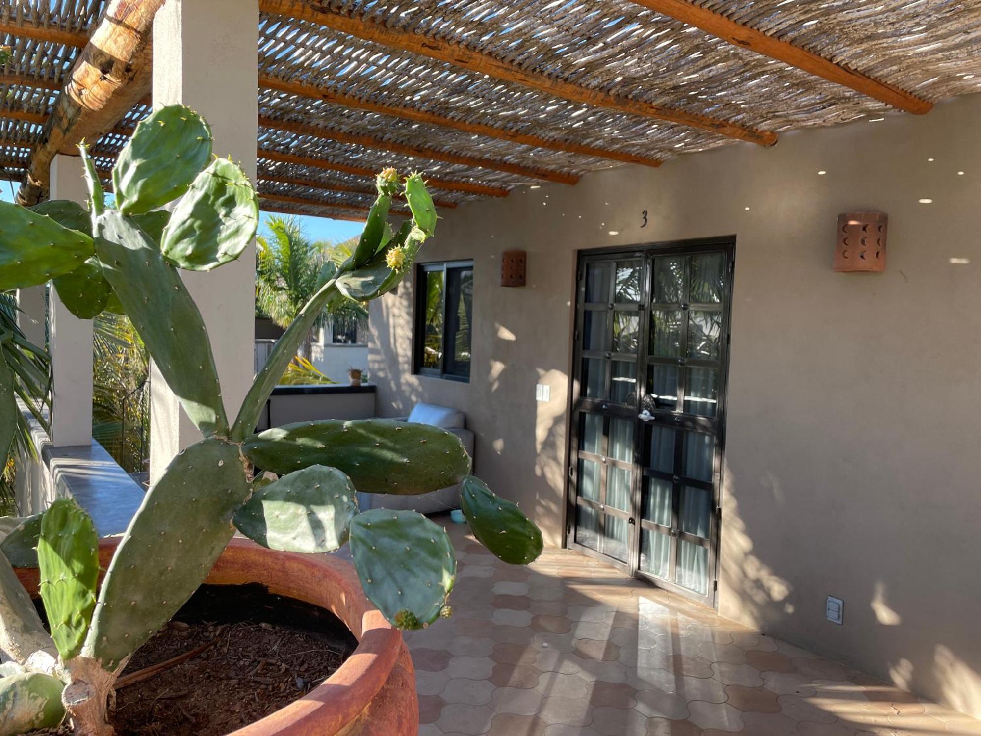 Pure Baja Private Suites-Upscale Property With Infinity Pool And Lush Gardens El Pescadero  Bagian luar foto